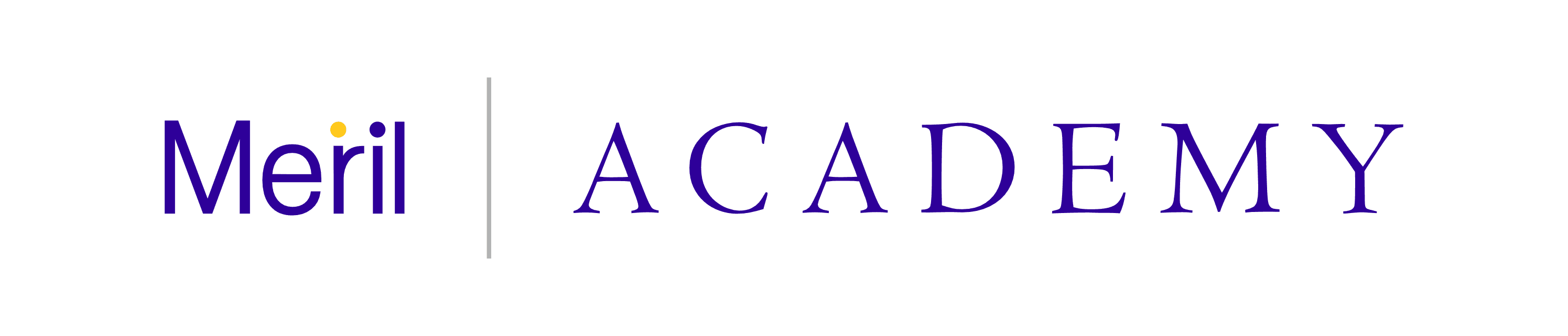 Academy Logo